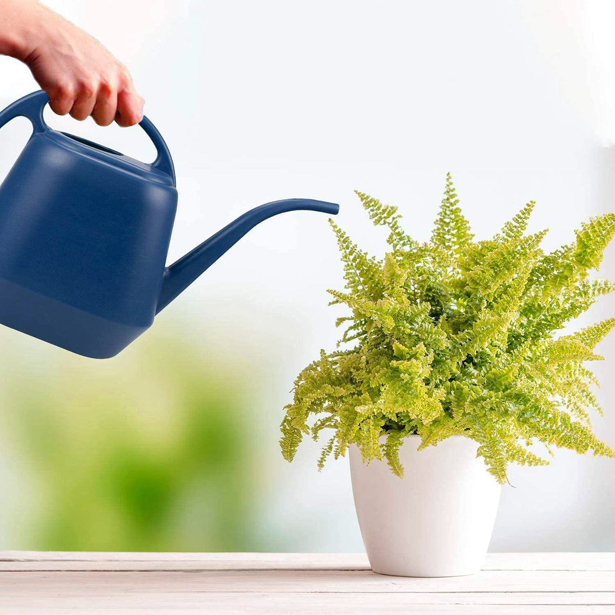 Fasmov Plastic Watering Can, Blue, 1-Gallon