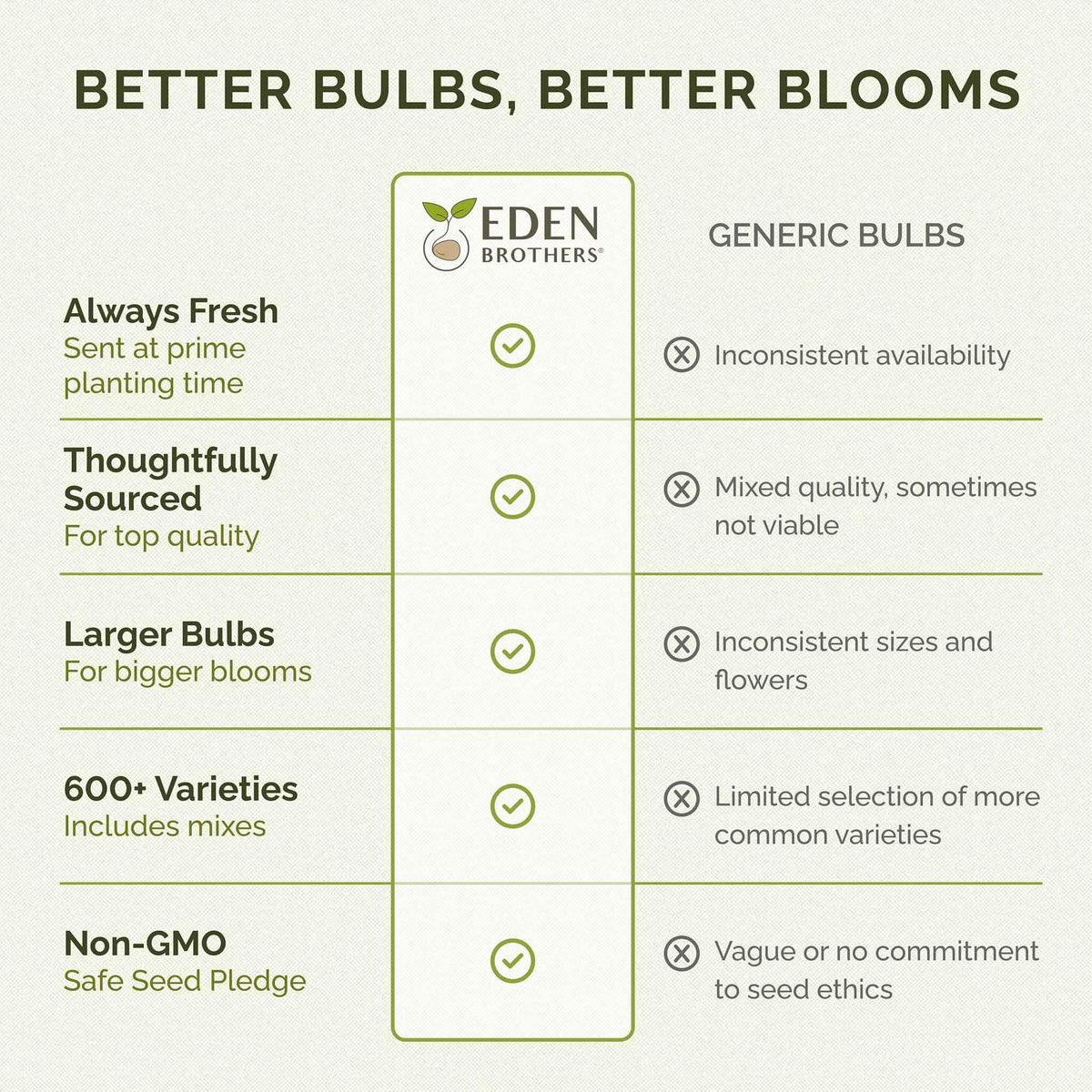 Eden Brothers Ranunculus Bulbs - Lipstick Mix