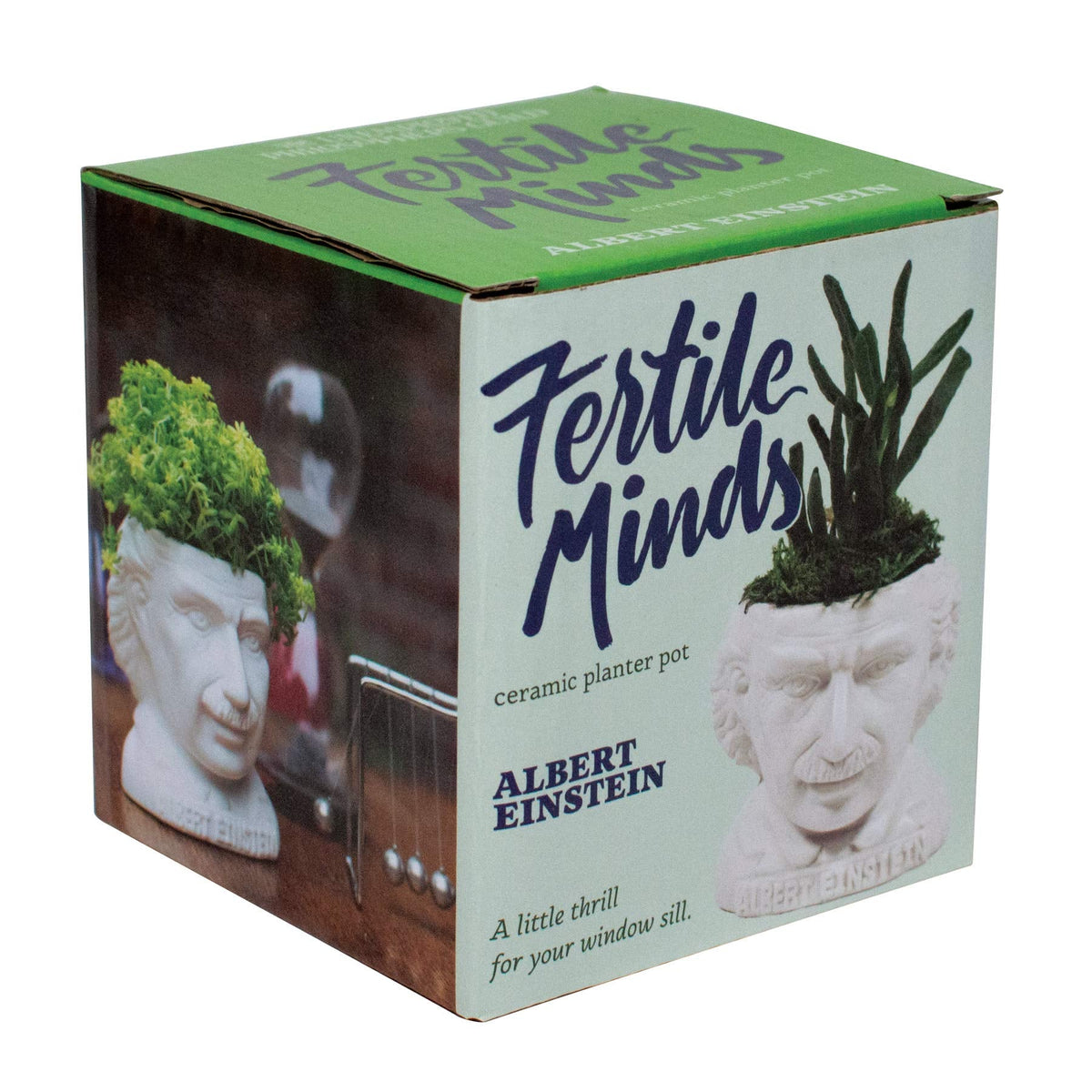 The Unemployed Philosophers Guild Albert Einstein Bust Ceramic Planter