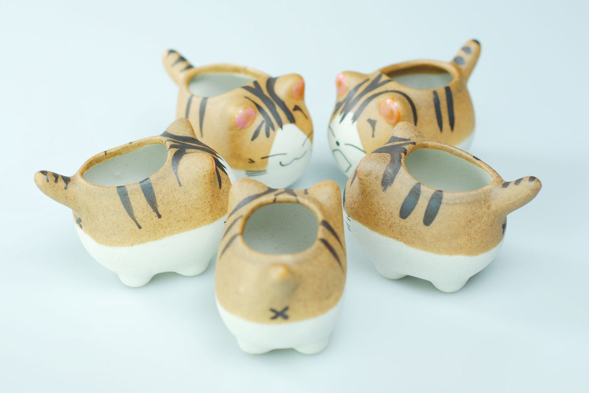 VanEnjoy Original Design Handmade Mini Cute Cartoon Ceramic Succulent Pots Planters With Drainage Hole - Cat Gifts for Cat Lovers Office - Pack of 5