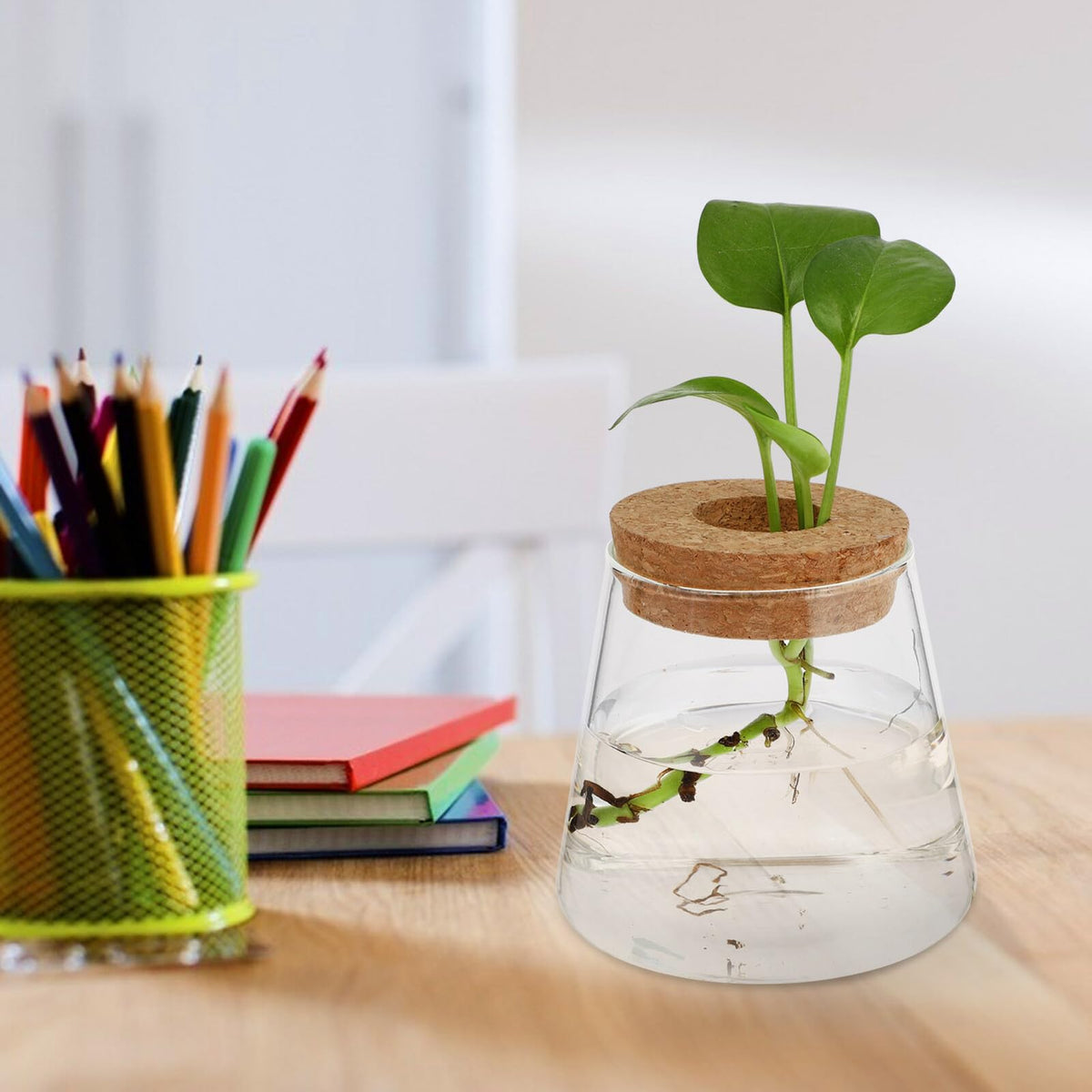 GRIRIW 2pcs Hydroponic Plants Vase Glass Planter Small Desktop Terrarium Container for Water Plant Propagation Home Office Décor