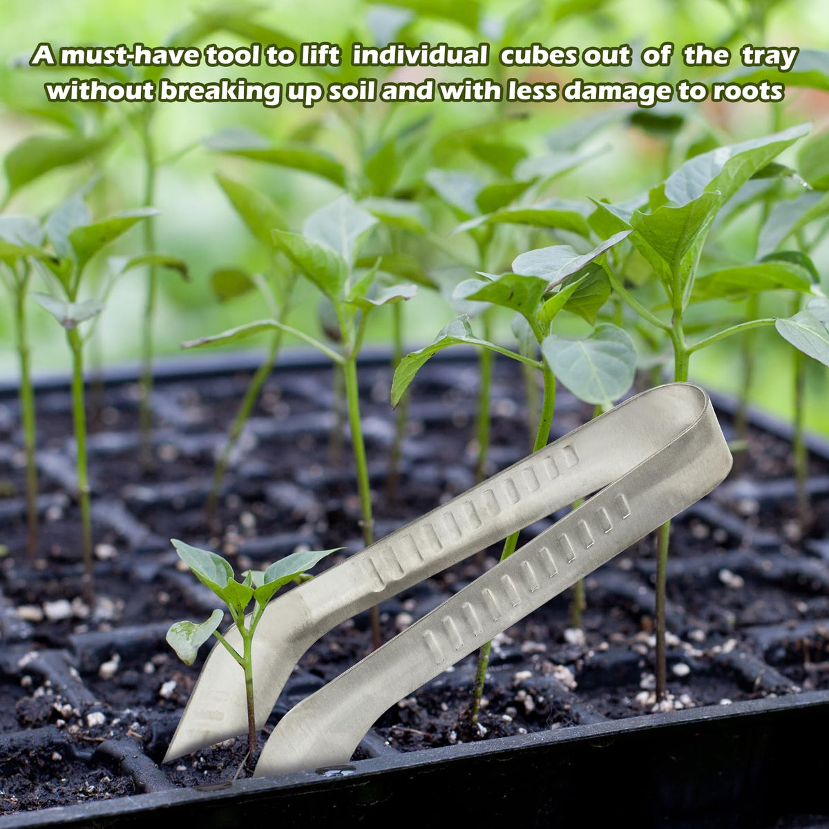 2PCS Seedling Transplant Tongs Stainless Steel Seedling Starters Remove Tongs Seedling Transplanting Tool Seedling Easy Transplanter with Anti-Slip Grasp Tips to Reduce Damage to Roots
