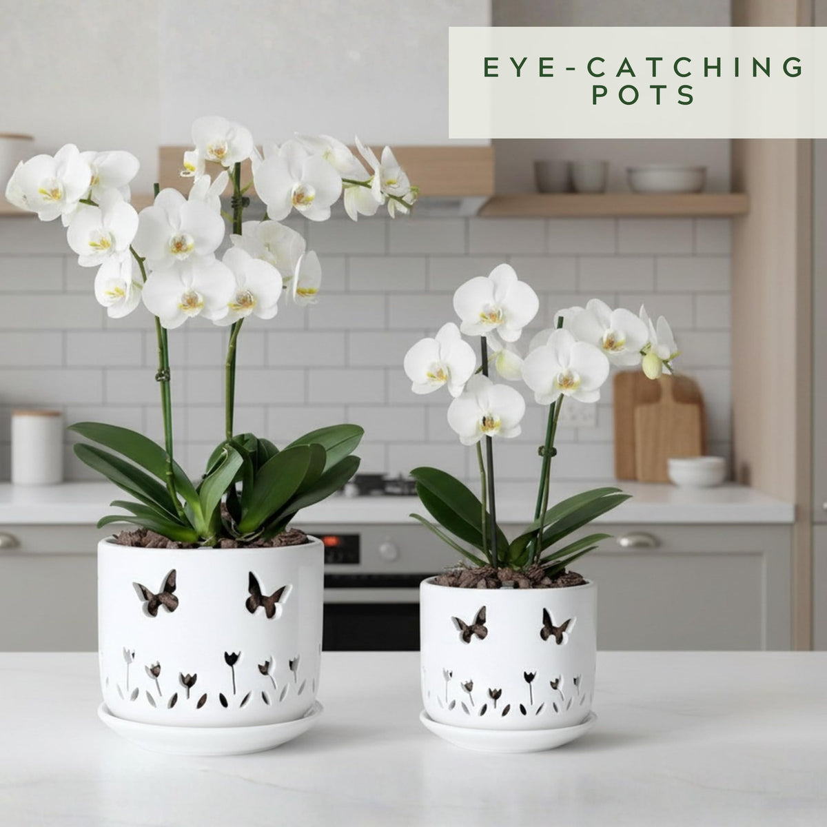 Thriving Thicket 2 Pack, 5 + 6 Inch White Orchid Pots with Butterflies and Tulips Holes and Saucer, Ceramic Orchid Planters for Repotting with Drainage Holes and Tray Indoor Outdoor, Butterfly Gift