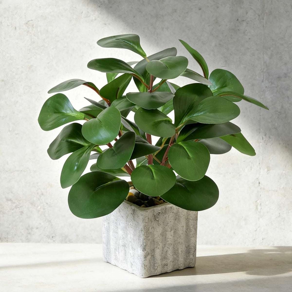 Muhanjia Artificial Potted Plant, Lifelike Faux Greenery in Decorative Cement-Look Square Pot for Indoor Home Decor Centerpieces (Peperomia)