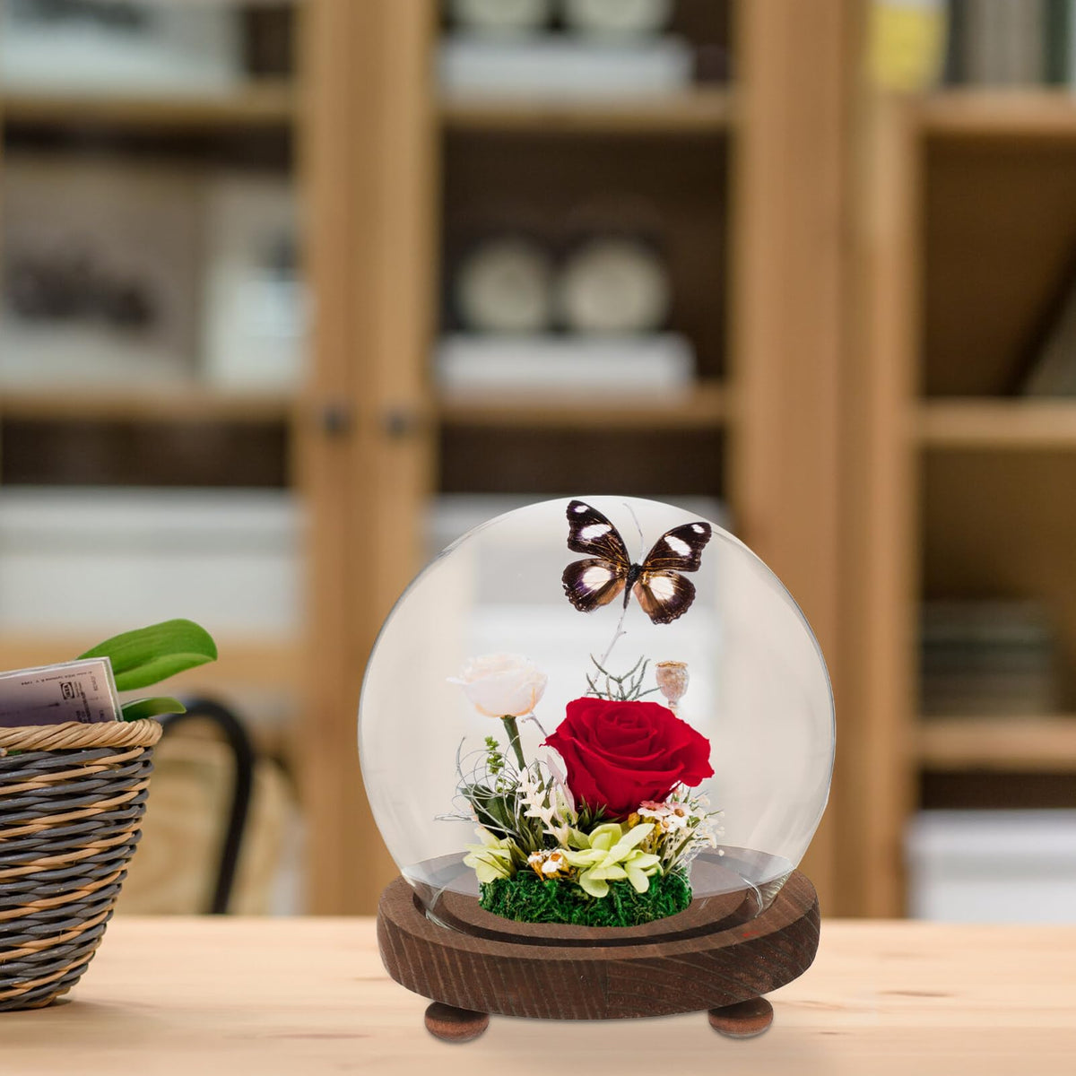 HOMSFOU Glass Display Dome with Wood Base 5.3 Inch Clear Glass Cloche Terrarium Globe for Miniature Plants Preserved Flowers and Home D Cor