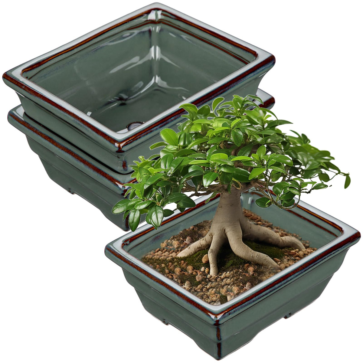 Ceramic Bonsai Pots with Drainage Hole Set of 2, Green Glazed Bonsai Planters for Indoor/Outdoor Use, Rectangular Shallow Bonzai Tree Pot for Succulent, Orchids, Cacti, Home, Patio, Garden, 6.3"x4.9"