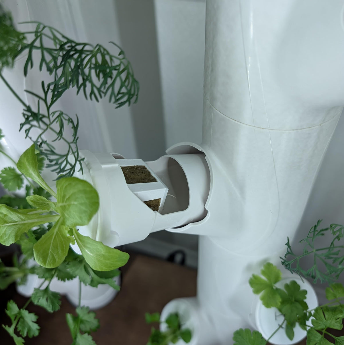 Grow Cubes for Hydroponic System/Compatible with Gardyn (20 Grow Cubes)