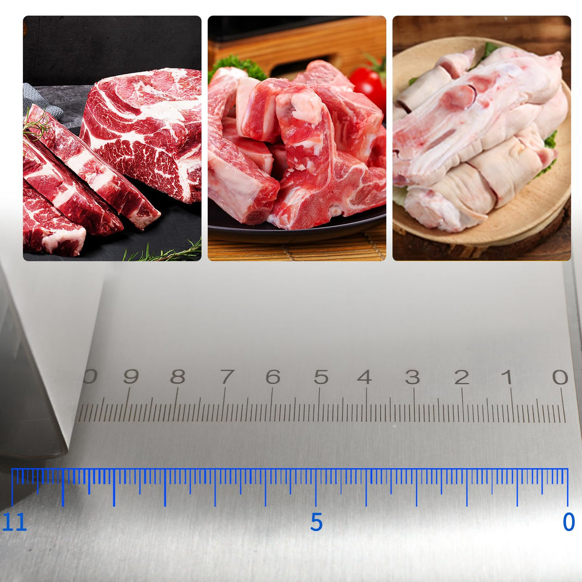 750W Electric Bone Saw Machine Commercial Electric Meat Bandsaw for Butchering, 18.1" x 12.4" Workbench, 0.4-4.3 Inch Cutting Thickness, Table Sawing for Cutting Rib, Frozen Meat with 5 Saw Blades