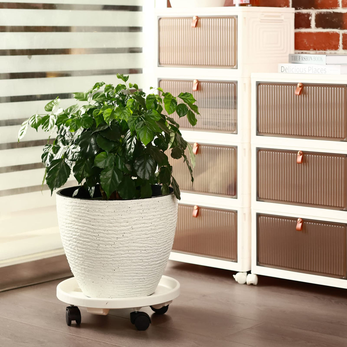 3 Pack Large Plant Caddy with Wheels 15.8" Rolling Plant Stands Heavy-duty Plastic Plant Roller Base Pot Movers Plant Saucer on Wheels Indoor Outdoor Plant Dolly with Caster Planter Tray Coaster White