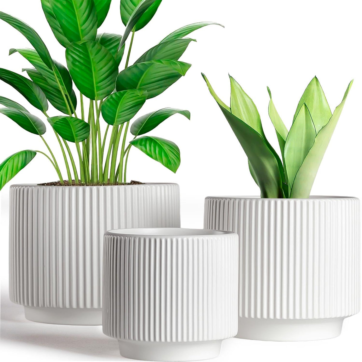 Houlu Set of 3 White Ceramic Plant Pots (7.8/6.5/5.1 inch) with Drainage, Small Flower Planter for Indoor and Outdoor Plants
