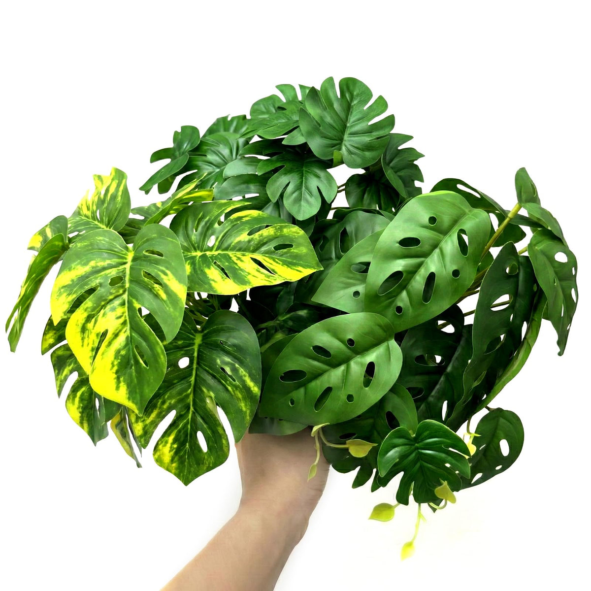 5 Pcs Reptile Plants & Habitat Decor Kit - 3 Artificial Plants & Large 5ft Jungle Vine Branch, Amphibian Habitat Hideout Tank Decorations fit Crested Gecko Leopard Lizard Chameleon Ball Python Frog