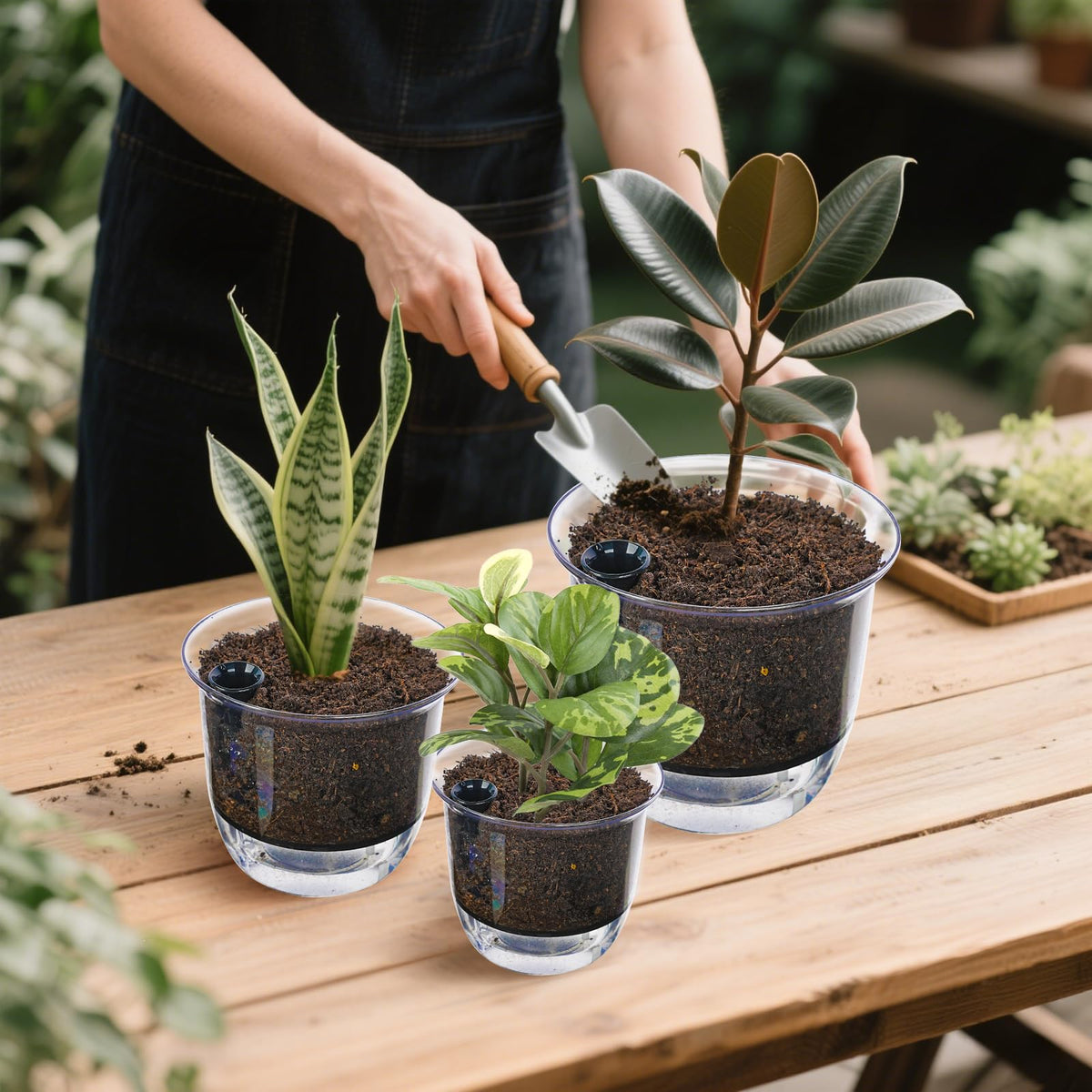 IWNTWY Plant Pots 6 inch Set of 3, Self Watering Pots for Indoor Outdoor Plants Flowers, Self Watering Planters with Reservoir, Drainage Hole and Absorbent Cotton Rope (3 Large)