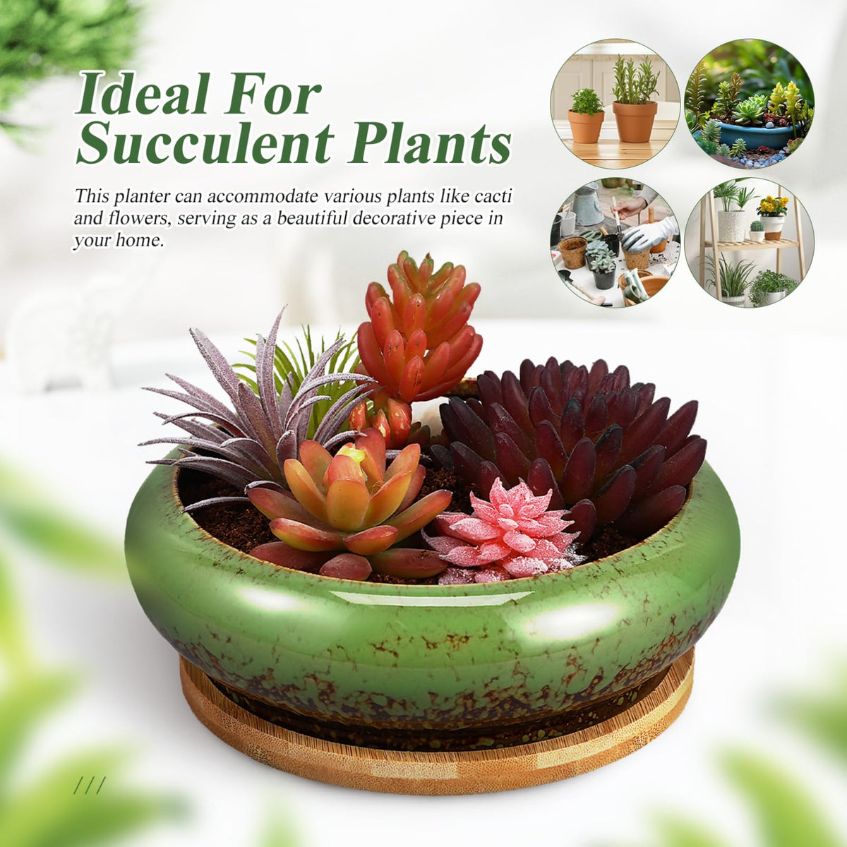 Kisangel Succulent Planters Ceramic Lotus Bowl 7.08 Inch with Drainage Hole and Tray Indoor Bonsai Pot for Cactus and Flower Plant Container Home Garden Decor