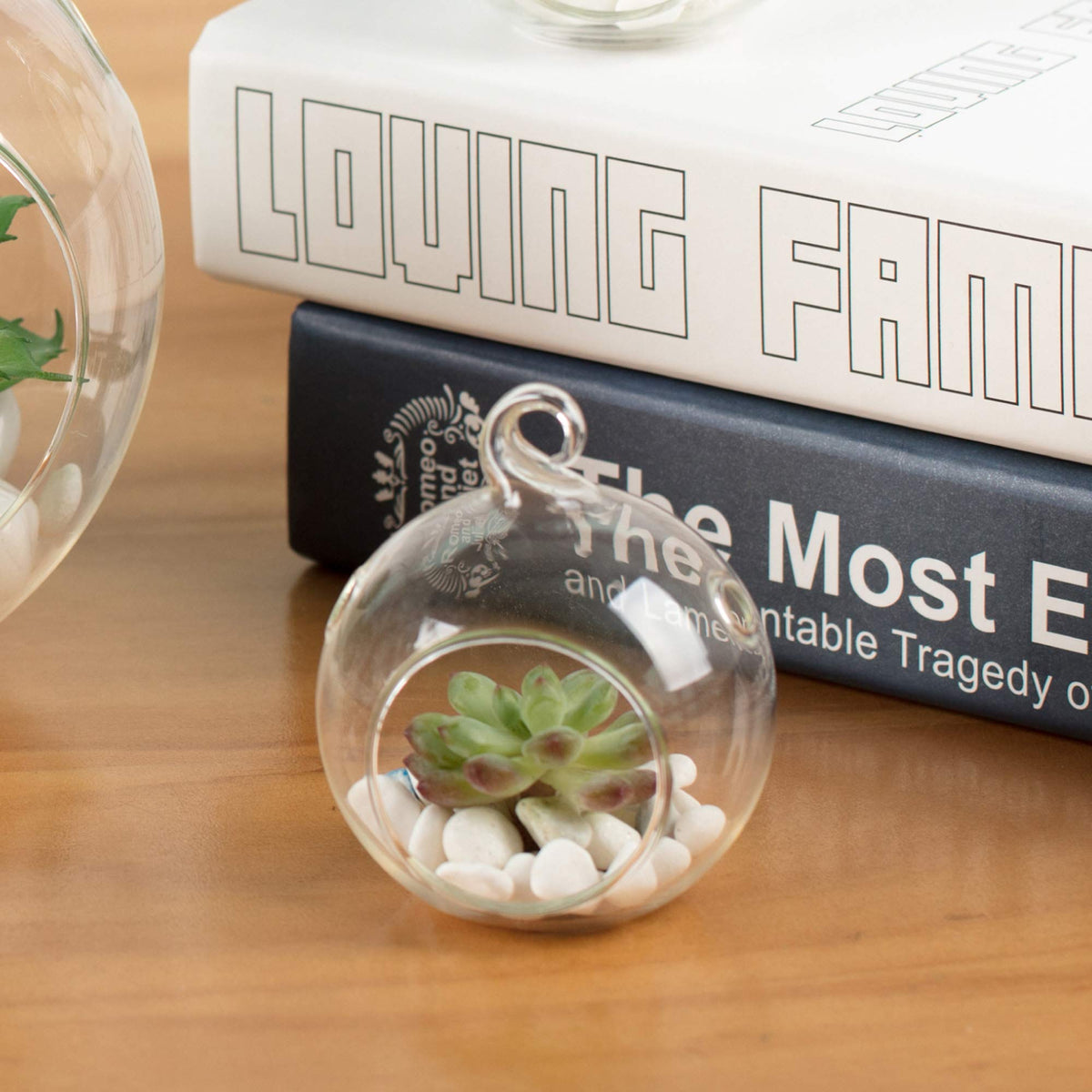 WGV Hanging Terrarium Globe, Width 2.5", Height 3", DIY Air Succulent Planter, Clear Glass Vase Orb with Flat Bottom, Candle Holder for Windowsill Outdoor Garden Decor, 12 Pieces Bulk