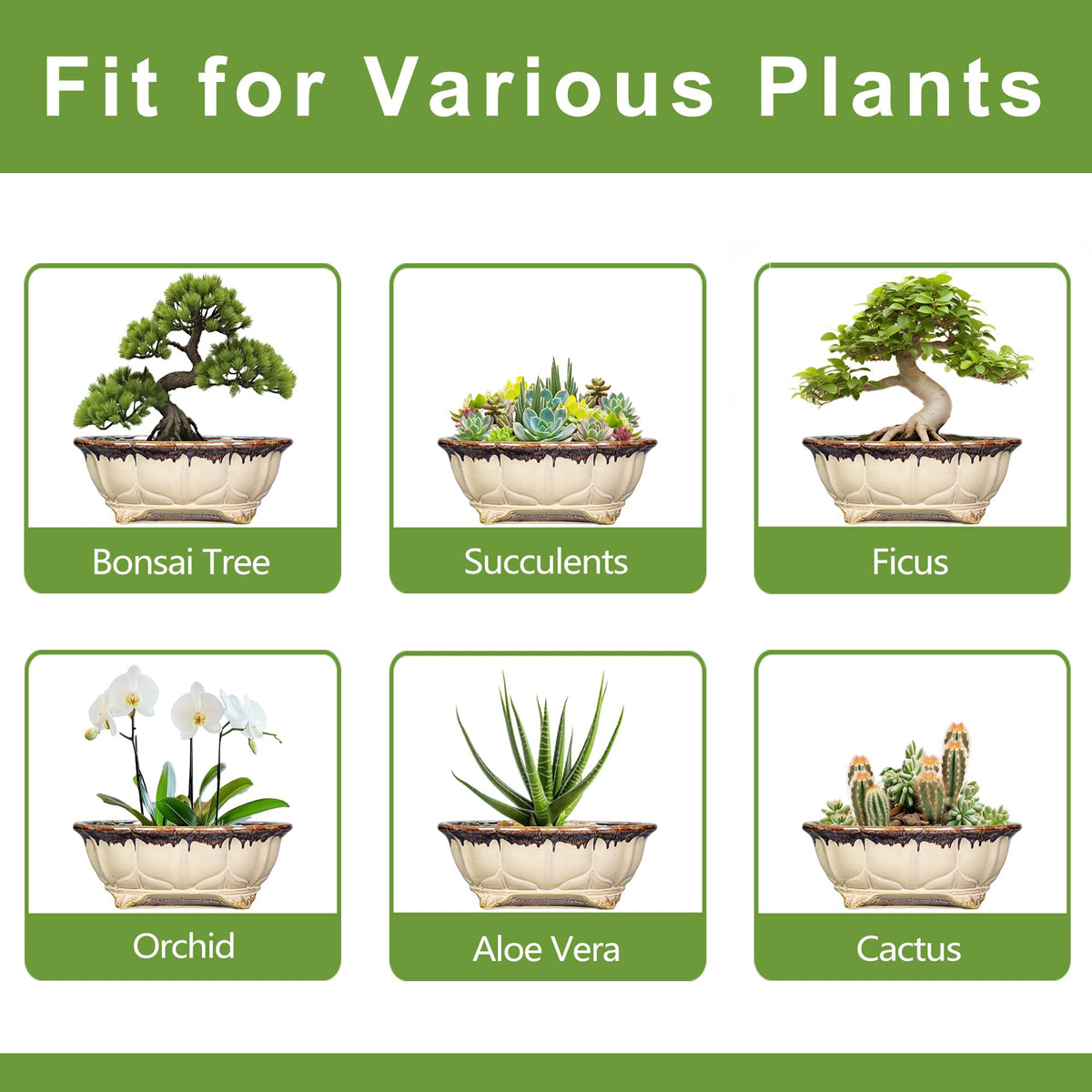 Teagas Ceramic Bonsai Tree Pots - 11 Inch Succulent Pots with Drainage Hole, Decorative Bonsai Pot for Indoor Outdoor Plants, Succulent Planters, Front Porch Decor, Gardening Gifts, Oval Beige-Brown