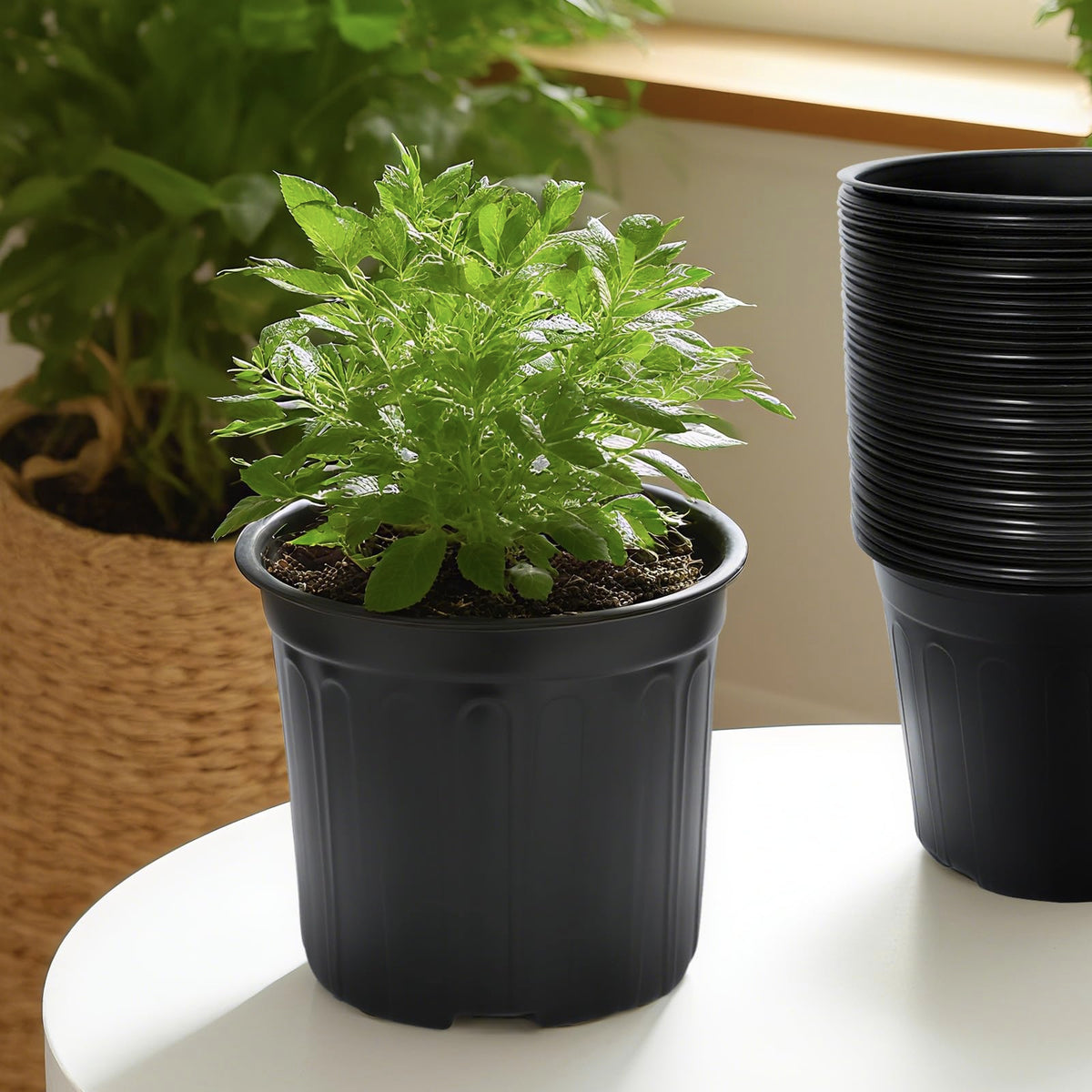 SLMKHHU 40 Pack 3 Gallon Nursery Plant Pots,10 Inch Plastic Garden Flower Seedling Planter Pot with Drainage Holes for Outdoor Indoor Plants,Gardening Gifts
