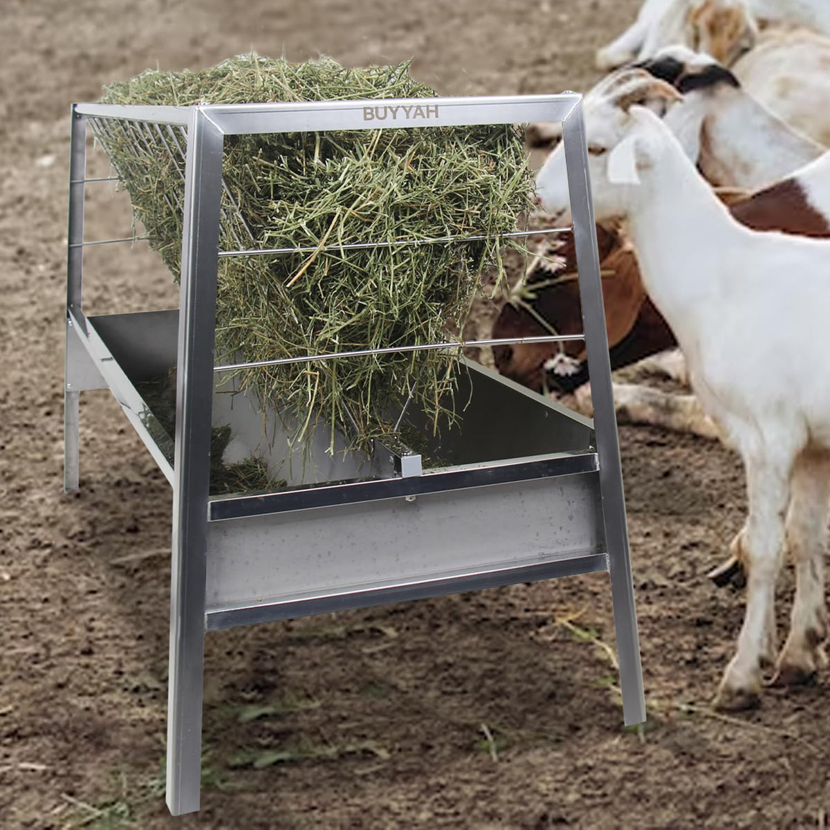BUYYAH Stainless Steel Pasture Feeder, 5-Feet, 77 Gallon Capacity Livestock Feeder with Deeper Feeding Pan, Easy to Assemble and Carry, Feeding Goats, Sheep and Ponies, for Farms, Sheep Sheds