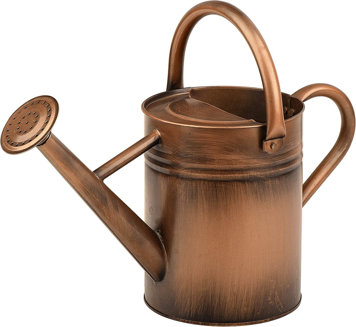 SunnyTong Metal Watering Can for Outdoor and Indoor Plants, Watering Can Decor, 1 Gallon (1 Gallon Copper)