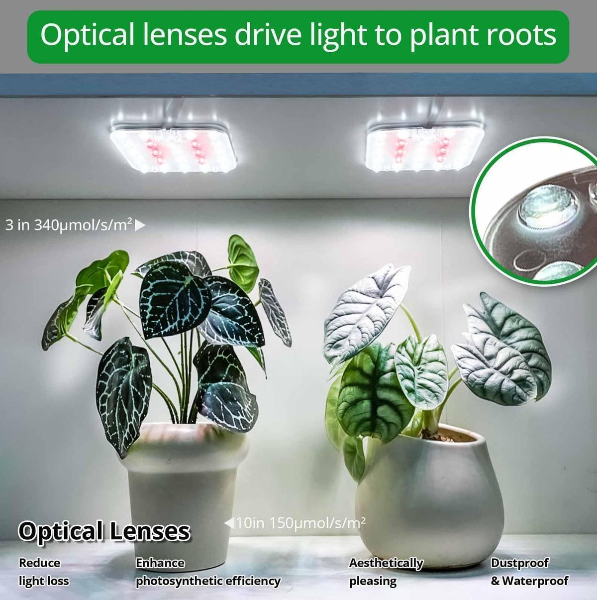 DOMMIA Full Spectrum LED Grow Light for Indoor Plants, 2 Panels 10W with 6/12/16h Timer Dimmable Plant Lights for Flower Veg Plant Growth USB, Netural White, 1-Pack