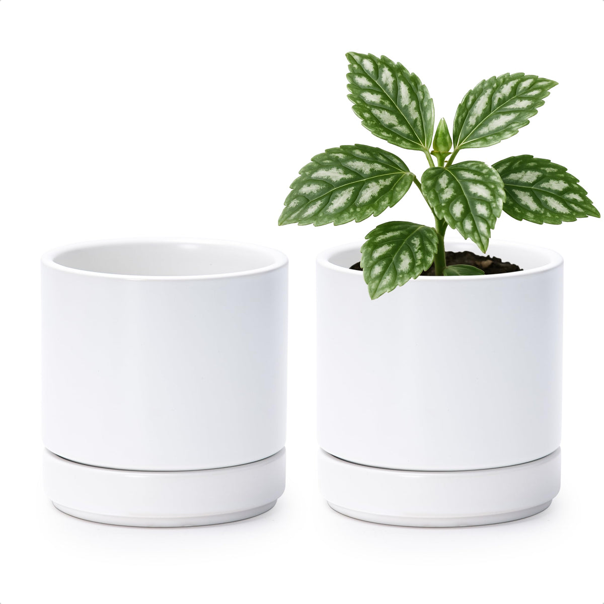 D'vine Dev Set of 2 Plants Pot, 4.7 Inch Ceramic Planter Pot for Plants with Drainage Hole and Saucer, White, 94-V-B-1