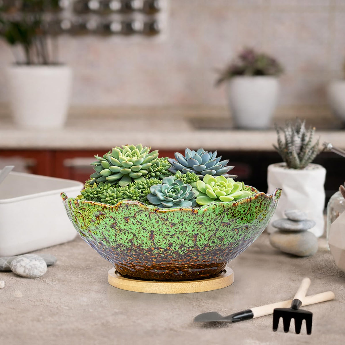 ARTKETTY Bonsai Pots, 9.06 Inch Succulent Pots with Drainage and Saucer, Ceramic Pots for Indoor Cactus Plants Unique Flower Plant Pots Round Bonsai Tree Planters Windowsill Desk Decor