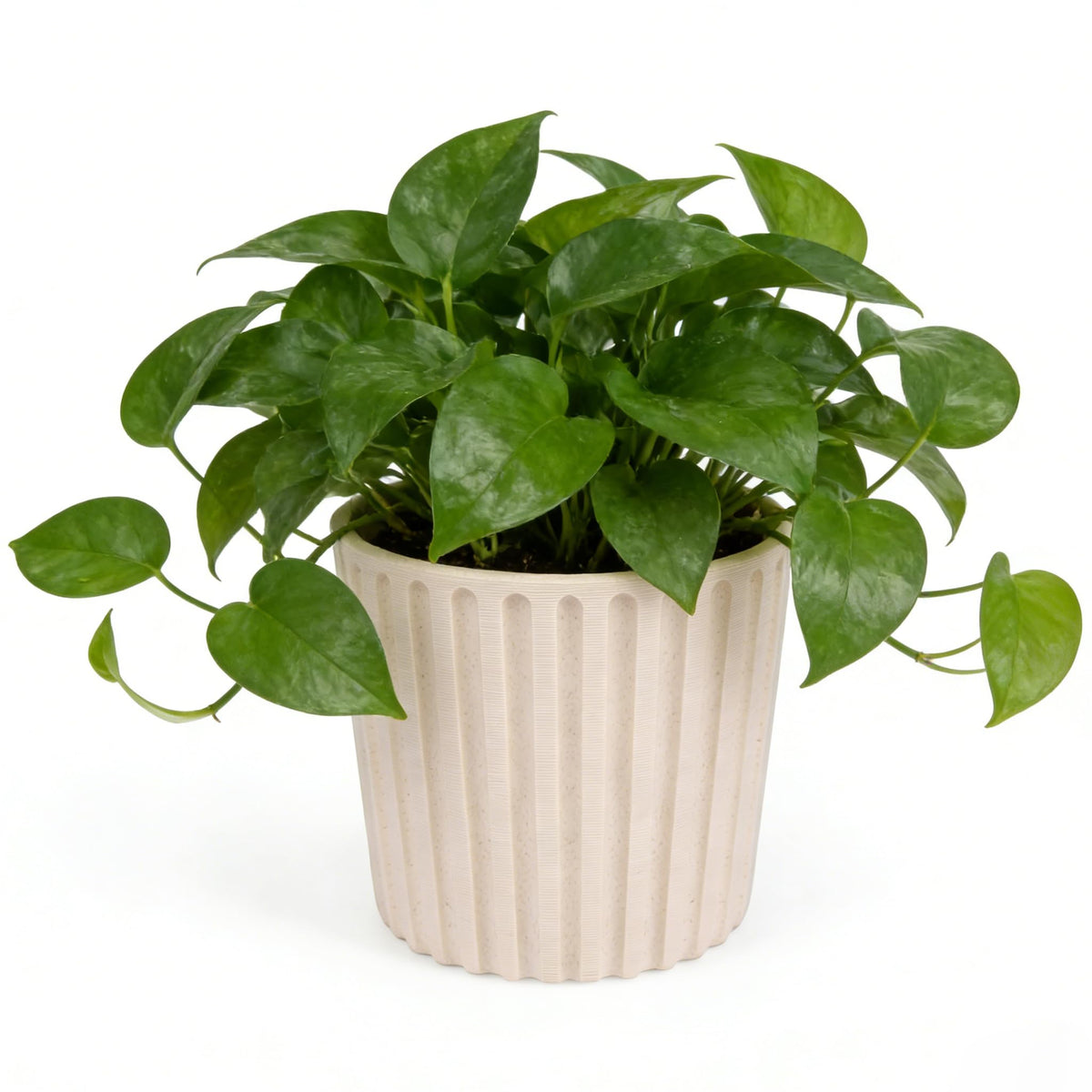 Ekirlin 7 Inch Indoor Plant Pot, Natural Resin Modern Planters, Graceful Curves Textures Garden Pot with Drainage Hole, Removable Rubber Stopper and Non-Slip Soft Pad, Decorative Pot for Home/Outdoor