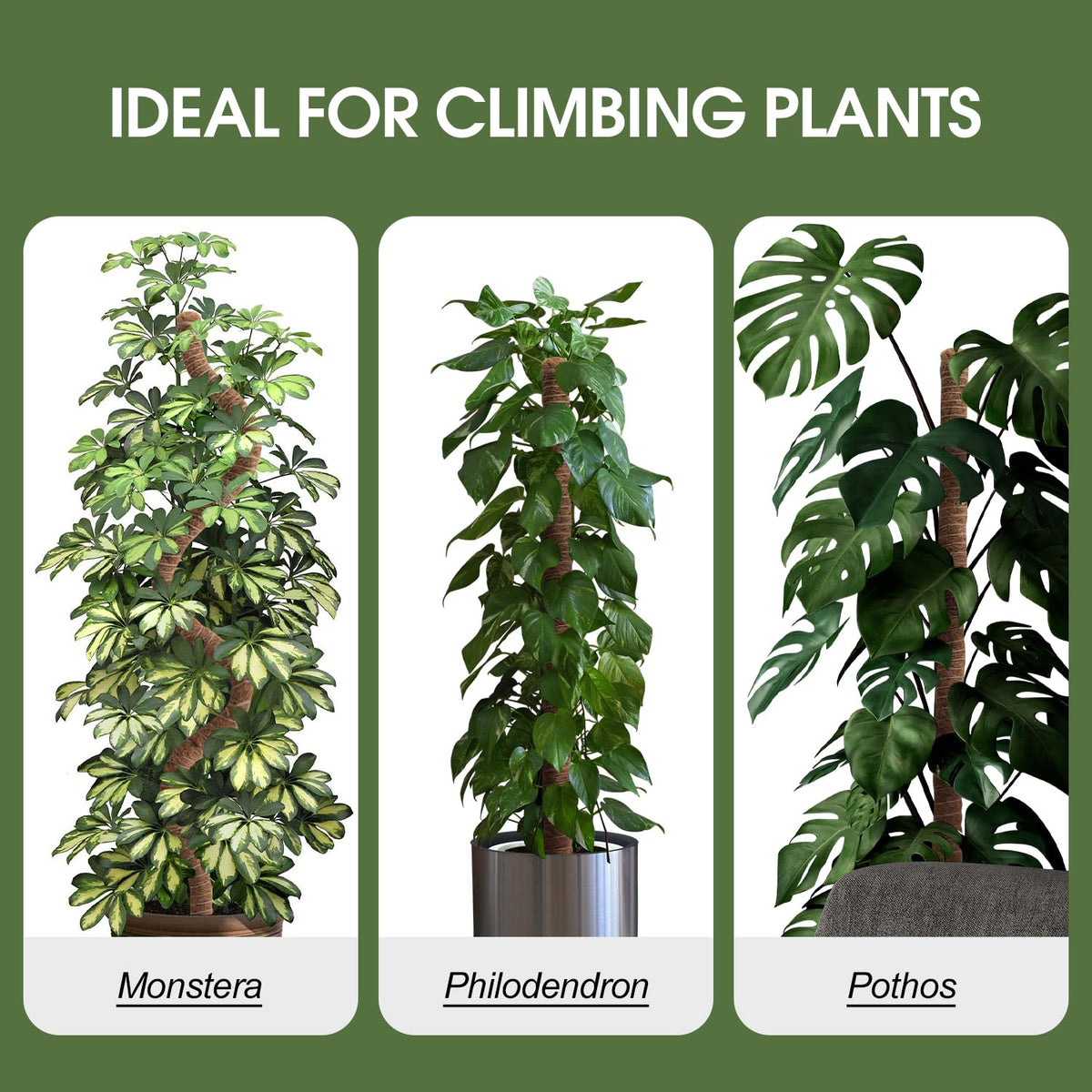 3 Pack Moss Pole, 50 Inch Moss Poles for Climbing Plants Stakes Indoor Monstera Support Tall Large Bendable Long Coco Coir DIY for Potted Plants, Pothos, Philodendron