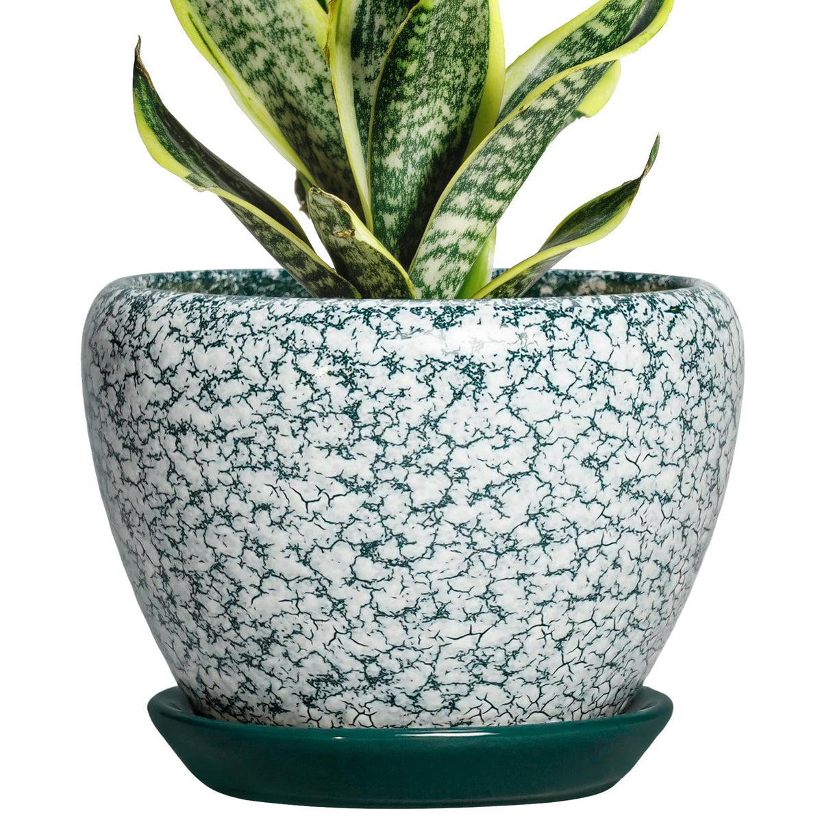 Thirtypot Ceramic Plant Pot - 6 Inch Planters for Indoor Plants, Round Succulent Pots with Drainage Hole and Saucer, Modern Decorative Plant Pots, Bathroom Decor, House Warming Gifts, Crackle Green