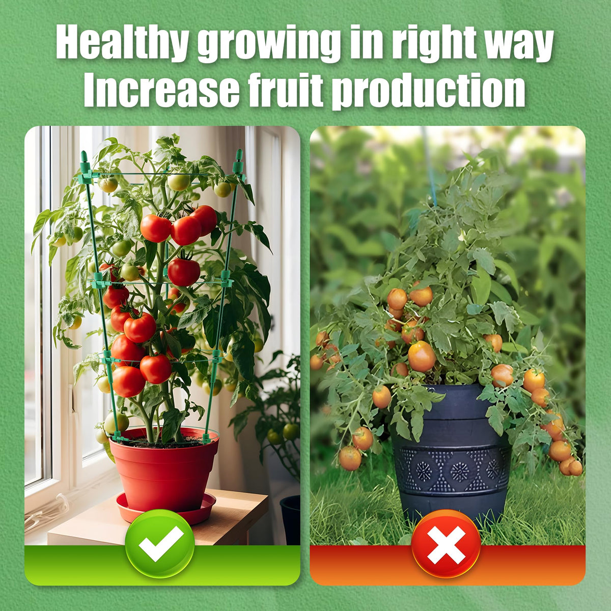 4 Pack Adjustable Tomato Cages, 36 Inch Plant Support Garden Trellis for Tomatoes, Cucumbers, Vegetables, Flowers, Roses & Climbing Vines – 4 Adjustable Rings for Sturdy Growth