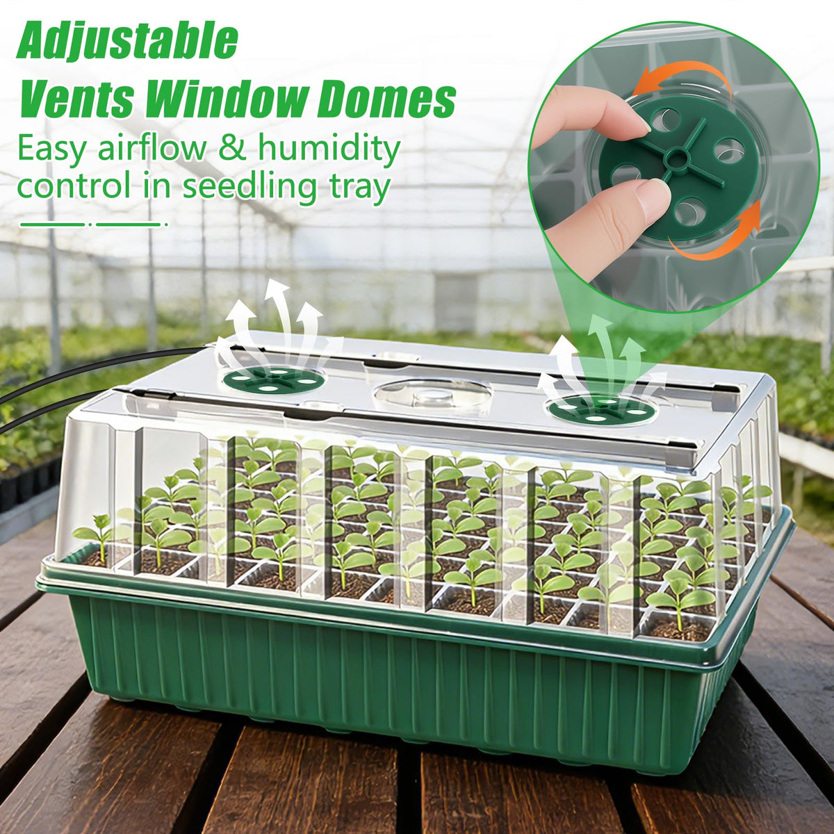 SprintGy 2 Set 120-Cell Seed Starter Tray with Grow Light, Self-Watering Seed Starter Kit with Humidity Dome, Adjustable Brightness Timed Seedling Starter Plant Germination Trays Indoor