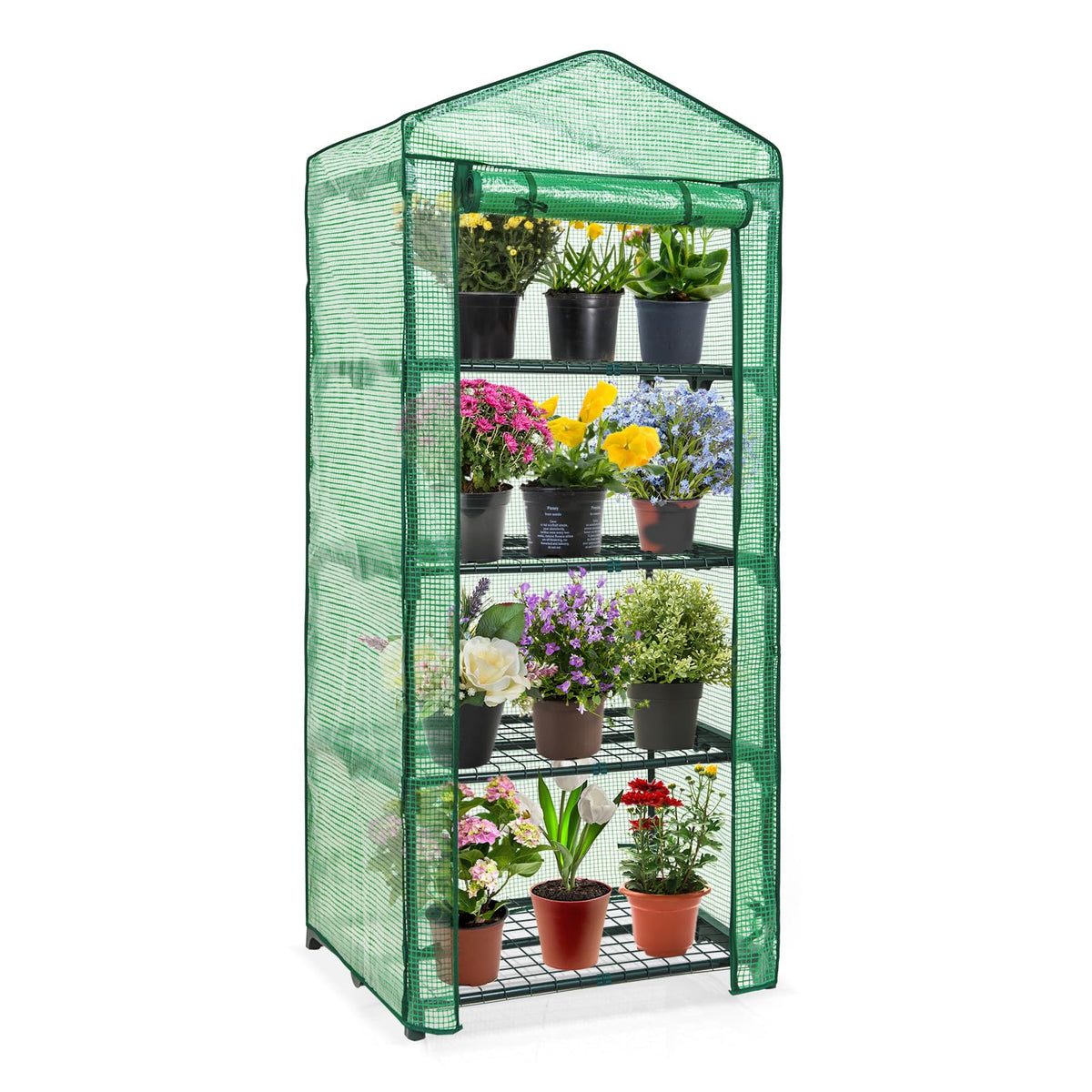 EAGLE PEAK 4-Tier Mini Greenhouse Portable Green House with Shelves & Weather-Resistant PE Cover, Small Greenhouse for Seedlings & Gardening Gifts, 27x19x64 in, Clear/Green