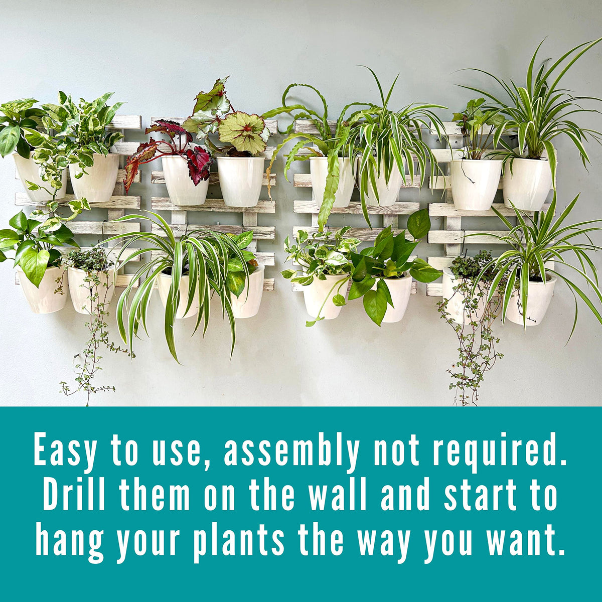 ShopLaLa Bundle- 4" White Self Watering Plastic Pots x 10 Pack + White Wooden Hanging Planters x 2 Pack Vertical Wall Mounted Pot Holder Indoor Plants Modern Hydroponic Herb Succolent Garden LaLaGreen