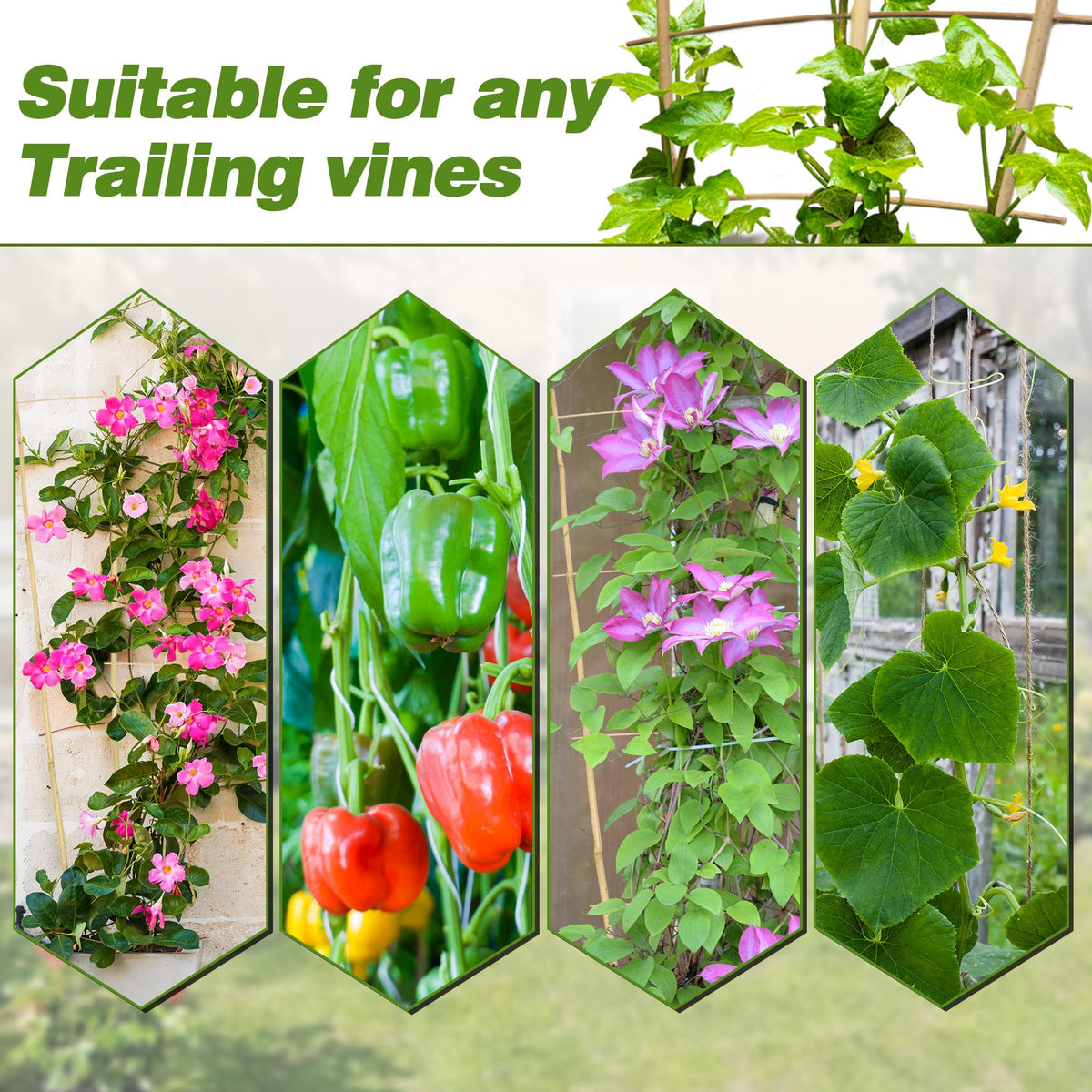 Avalution 10 Pack Bamboo Trellis for Climbing Plants 16" Natural Garden Ladder Trellis, Fan -Shaped Plant Support Trellis for Potted Plant Decor